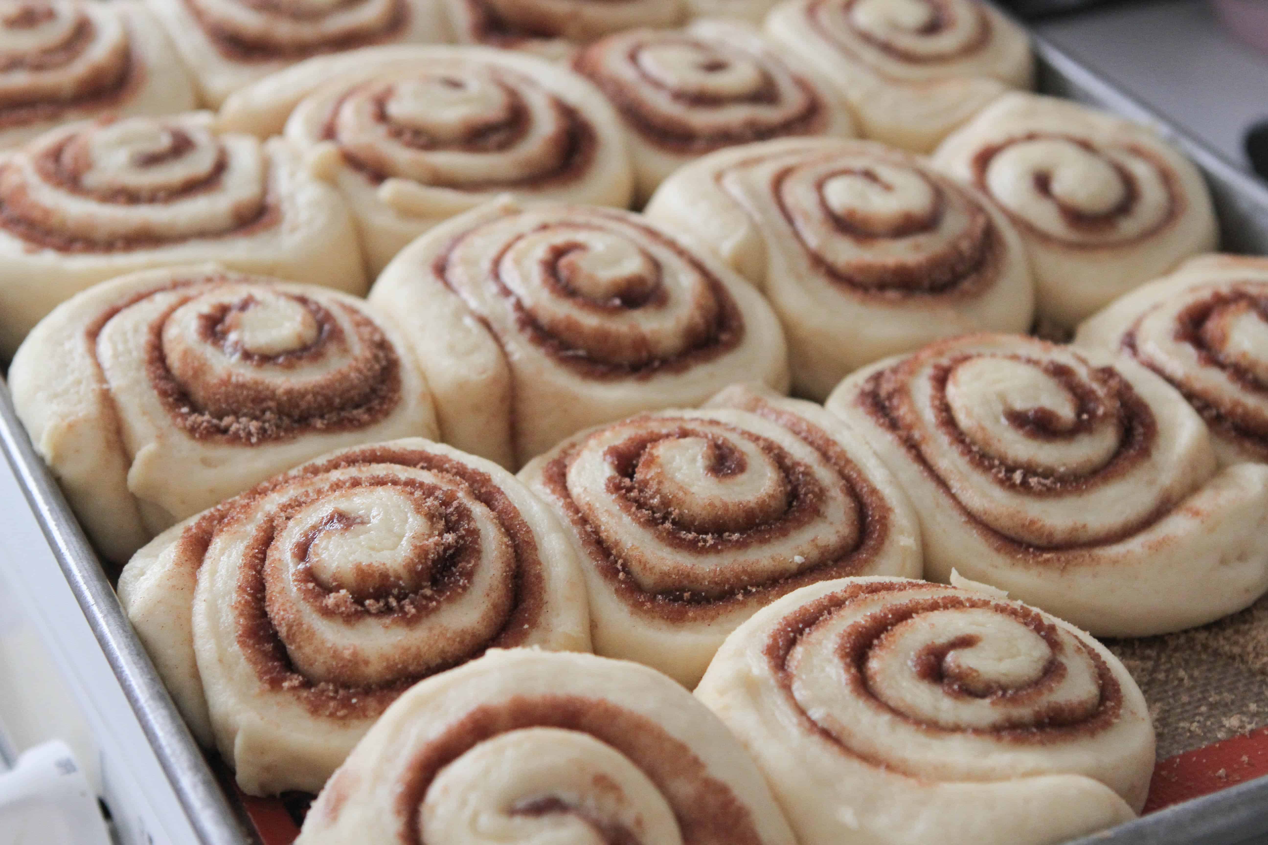 Unbaked cinnamon rolls neatly arranged in a baking tray, showing swirls of cinnamon sugar filling.